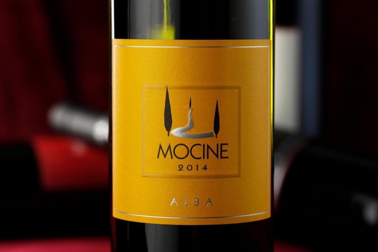 Mocine Séjour à la ferme