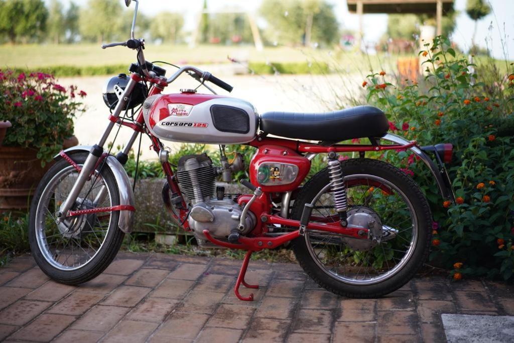 Mocine Asciano