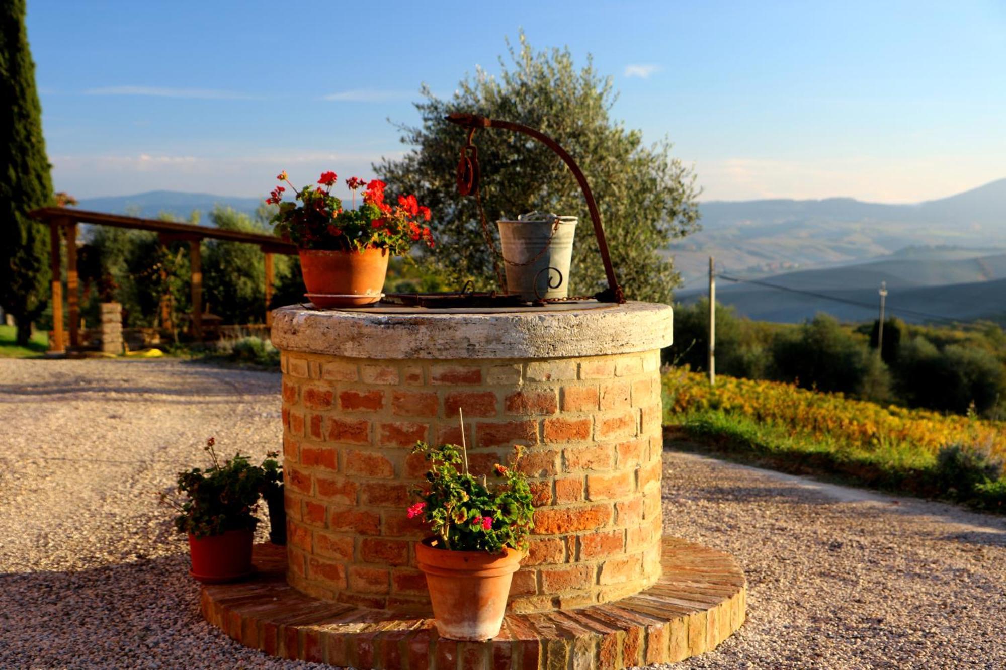 Farm stay Mocine Asciano