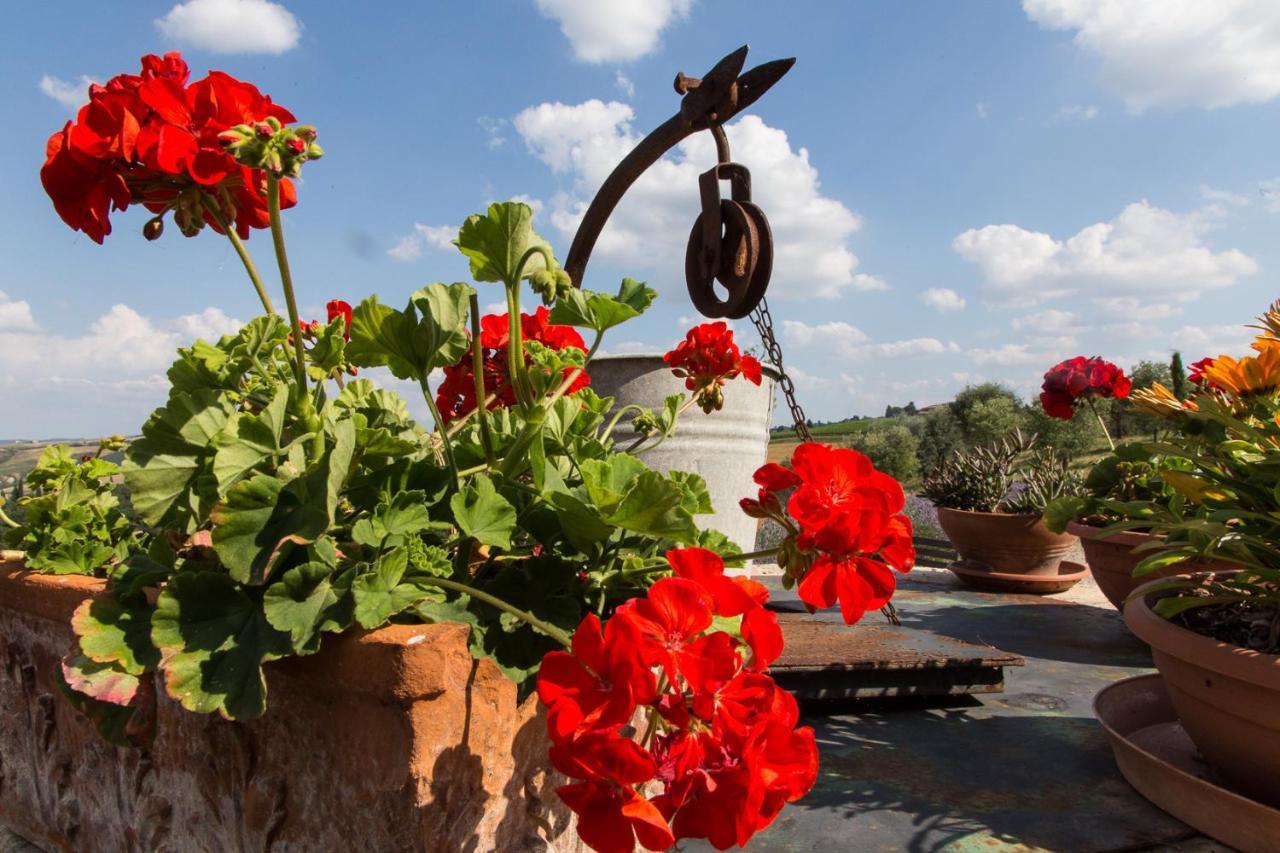Agriturismo Mocine Farm stay Asciano