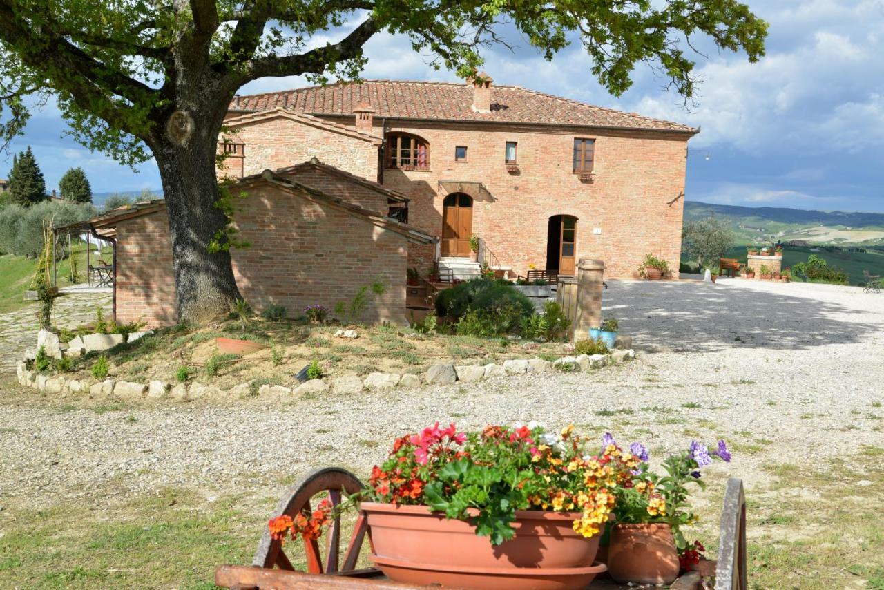 Mocine Asciano
