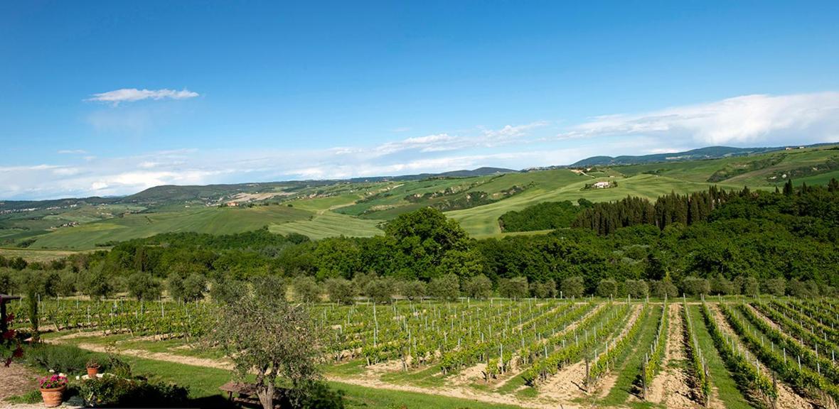 Farm stay Mocine Asciano
