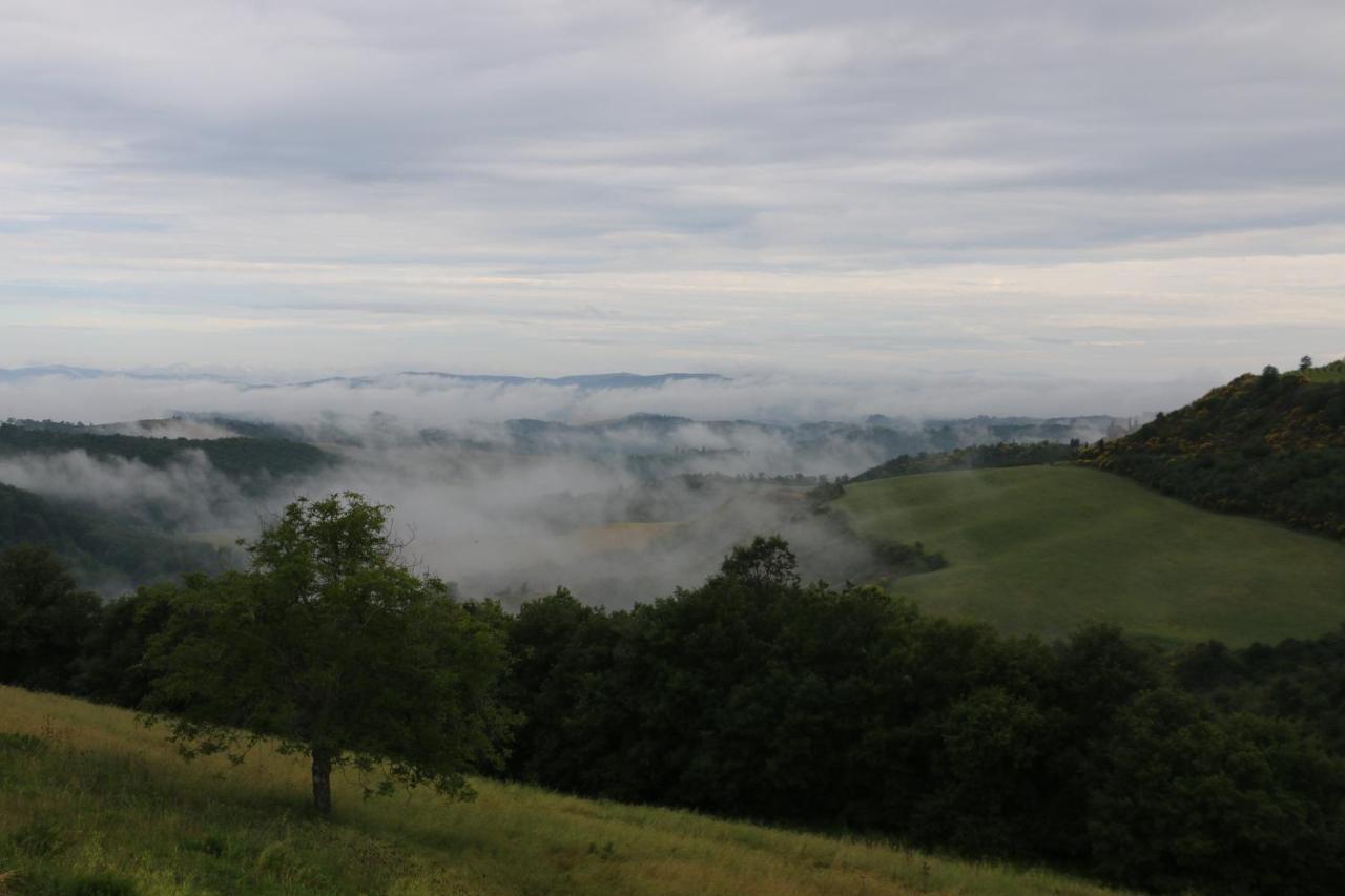 Farm stay Mocine *