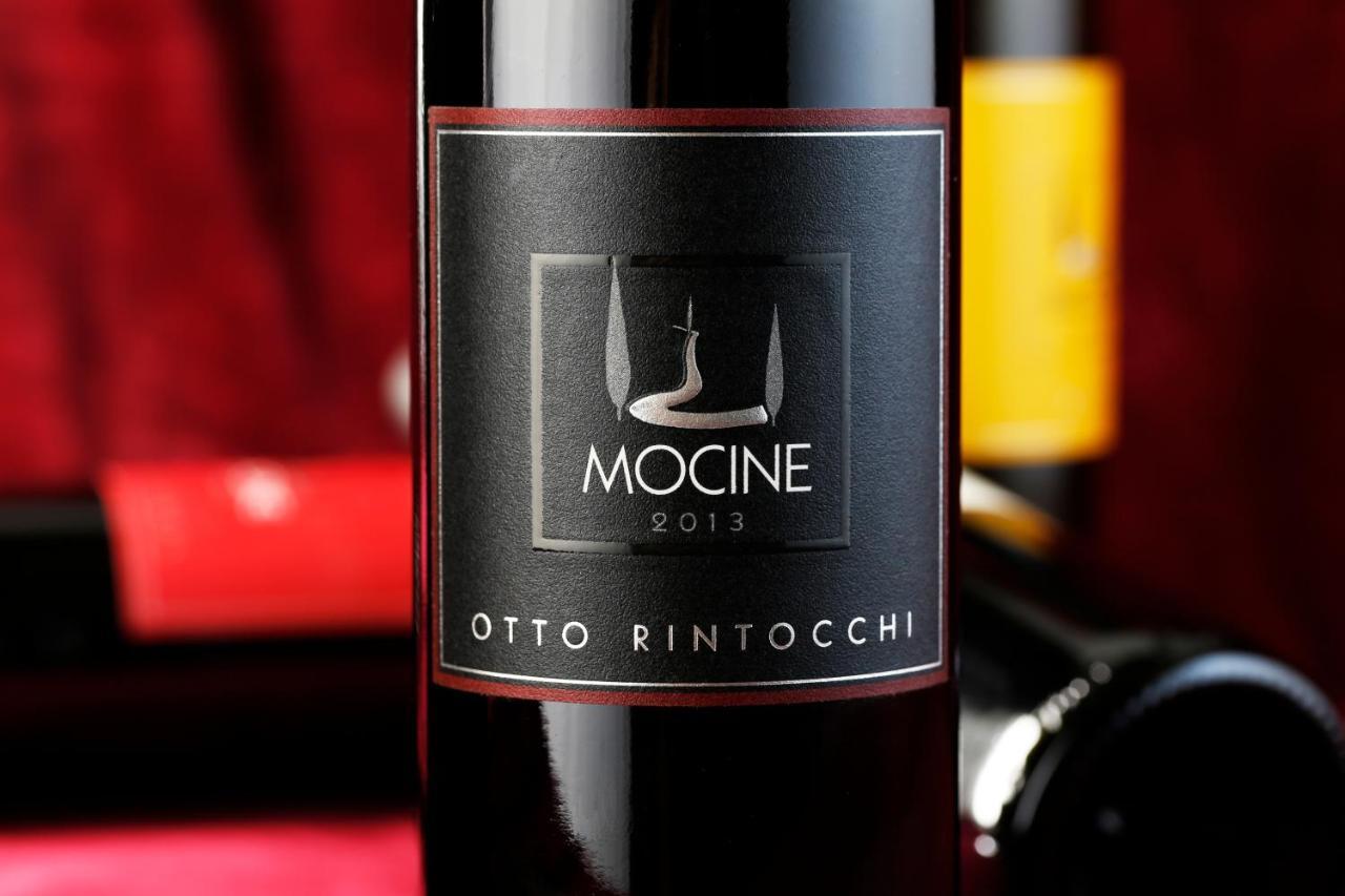 Mocine Asciano