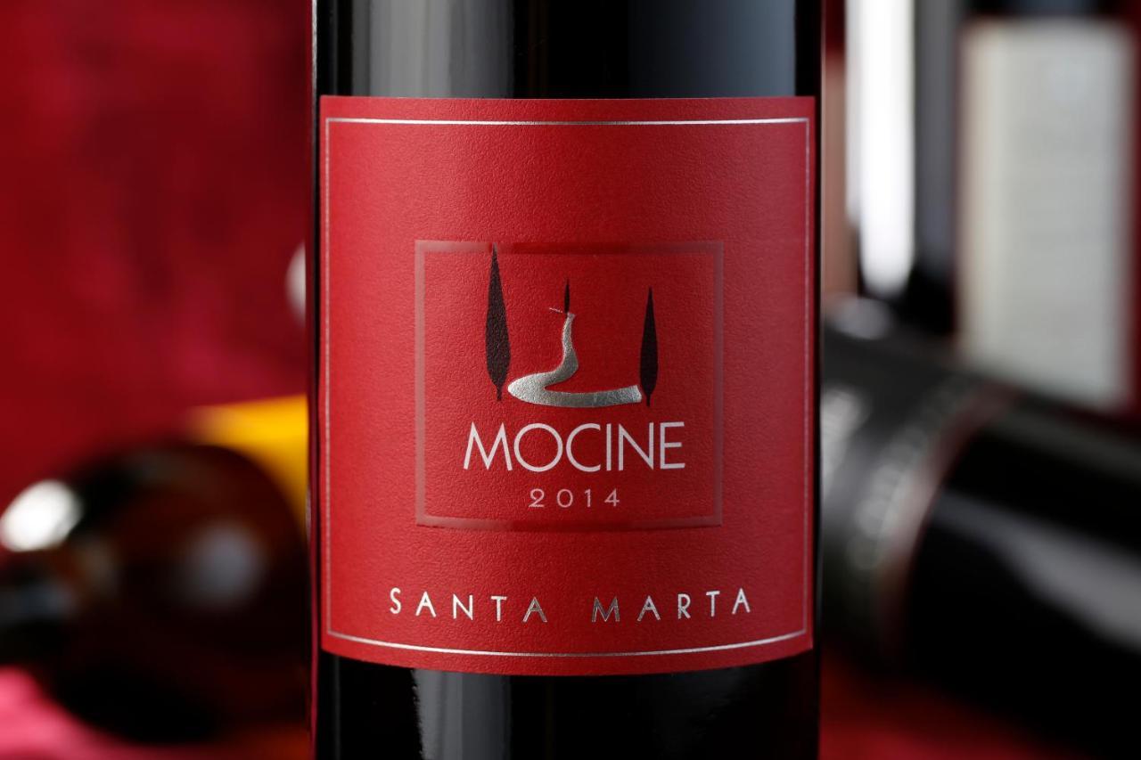 Mocine Asciano