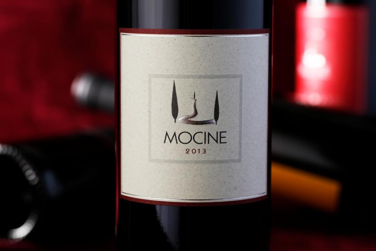 Farm stay Mocine *
