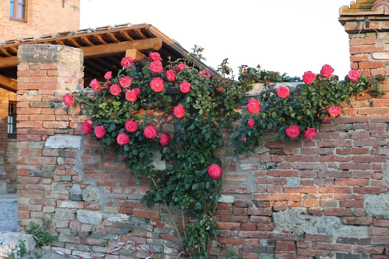 Farm stay Mocine Asciano
