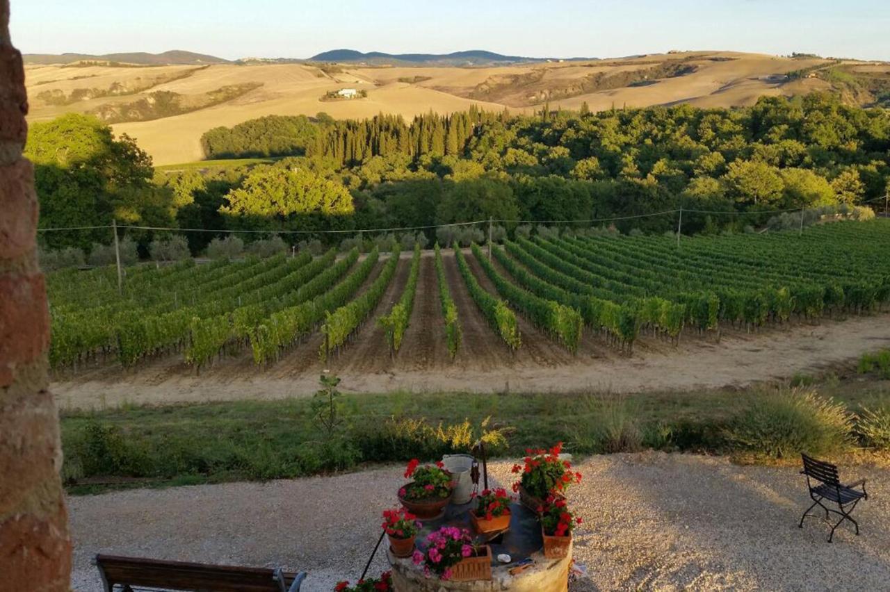 Mocine Farm stay Asciano