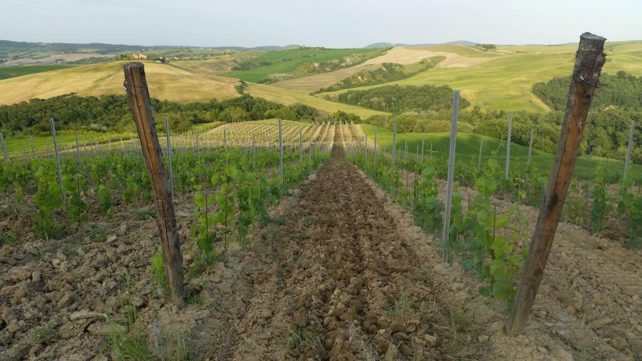Farm stay Mocine Asciano