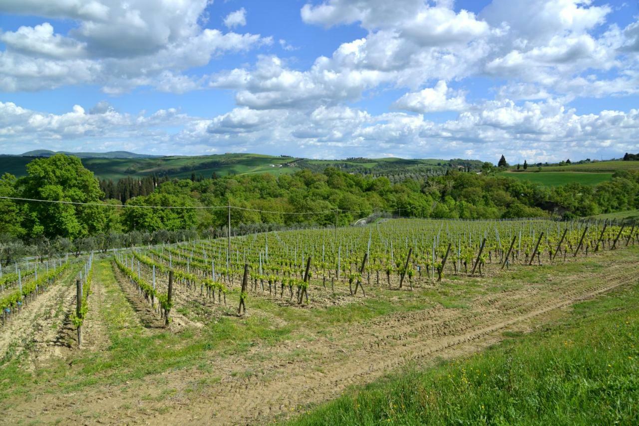Mocine Farm stay
