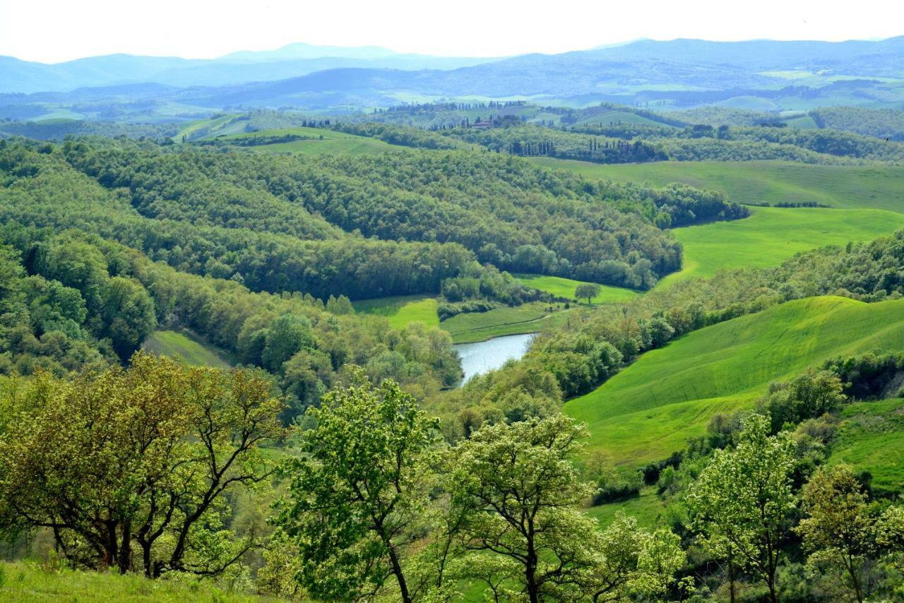 Farm stay Mocine Asciano