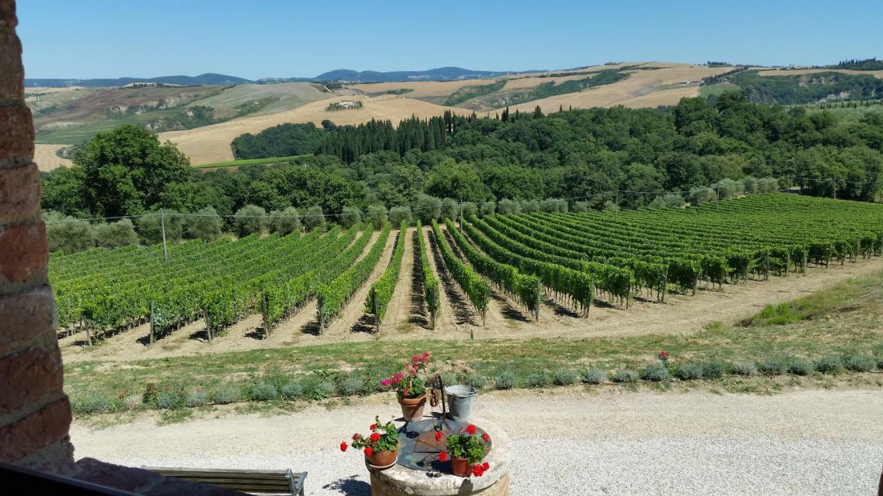 Farm stay Mocine Asciano
